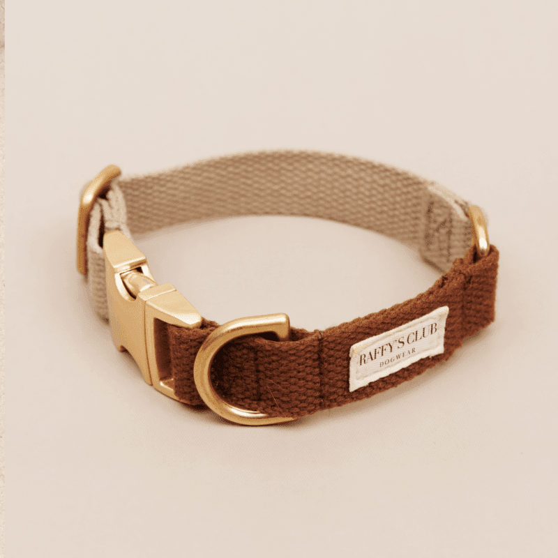 %d0%be%d1%88%d0%b5%d0%b9%d0%bd%d0%b8%d0%ba-%d0%b4%d0%bb%d1%8f-%d1%81%d0%be%d0%b1%d0%b0%d0%ba-classic-macchiato