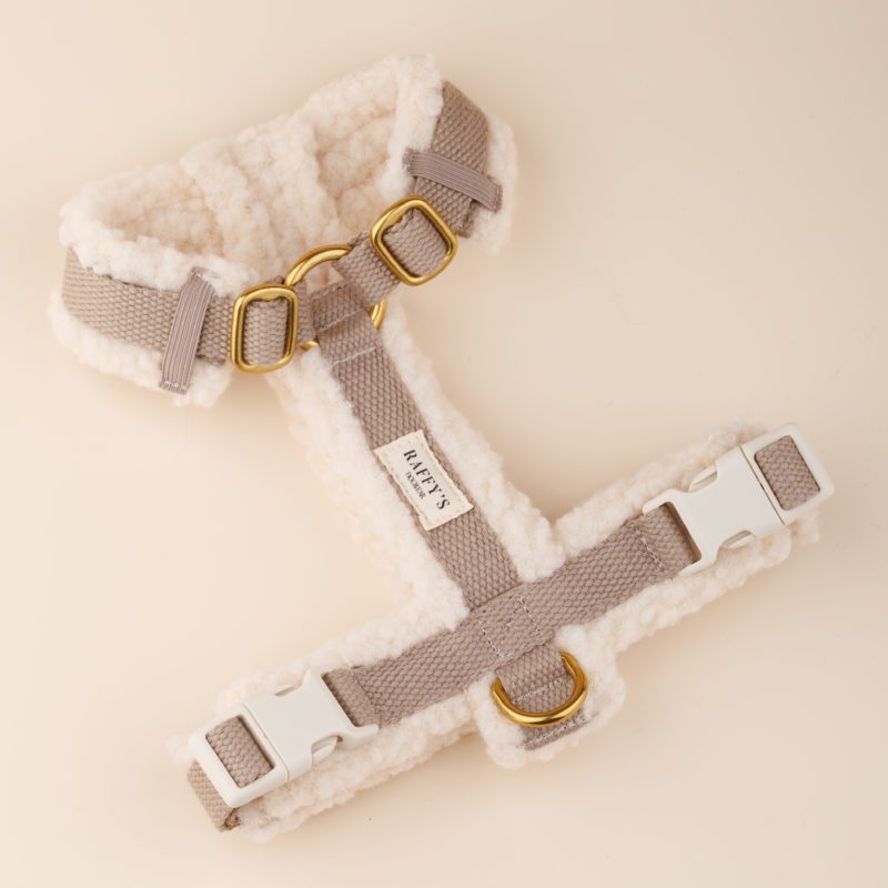 Шлейка для собаки - Teddy