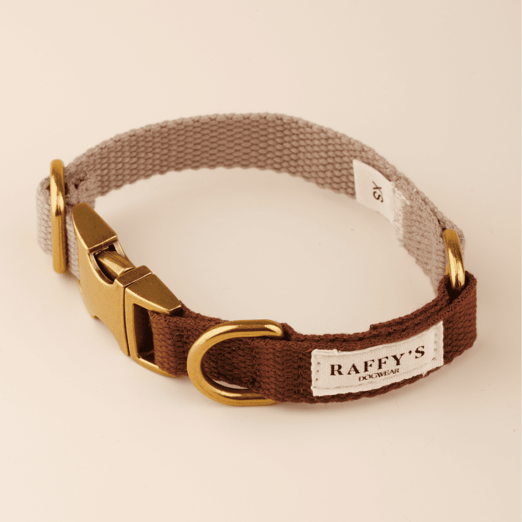 Ошейник для собак Classic Macchiato