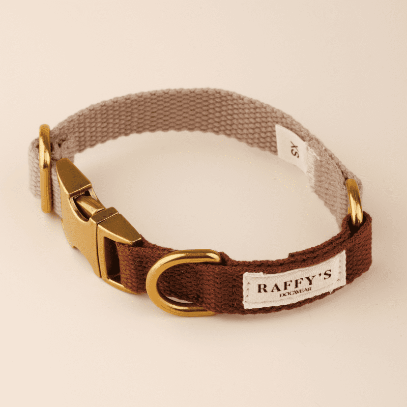 osheynik-dlya-sobak-classic-macchiato